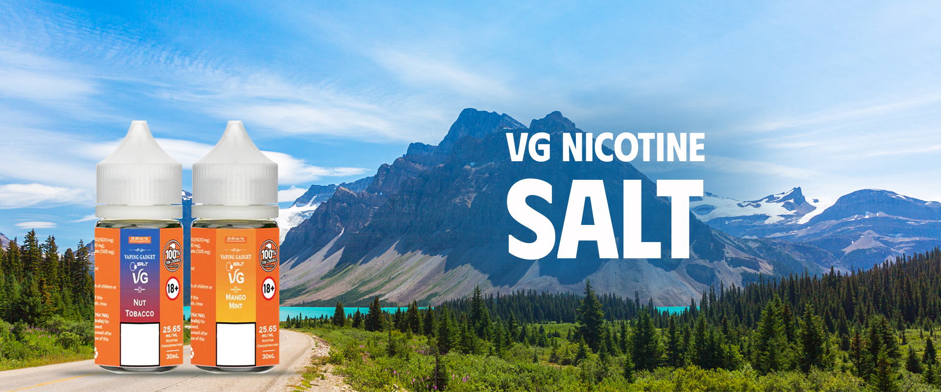 Salt-BANNER 1
